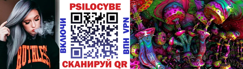 магазин    Балашов  мориарти состав  Псилоцибиновые грибы Psilocybe 