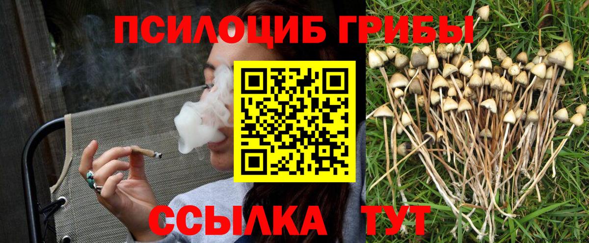 Балашов  Псилоцибиновые грибы Psilocybine cubensis  цены наркотик  Вход с VPN 