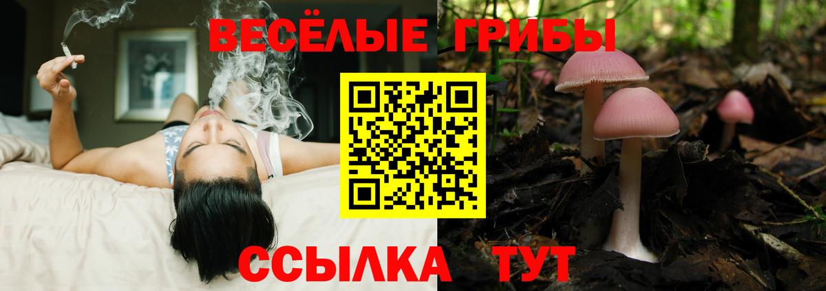 Псилоцибиновые грибы мицелий Балашов